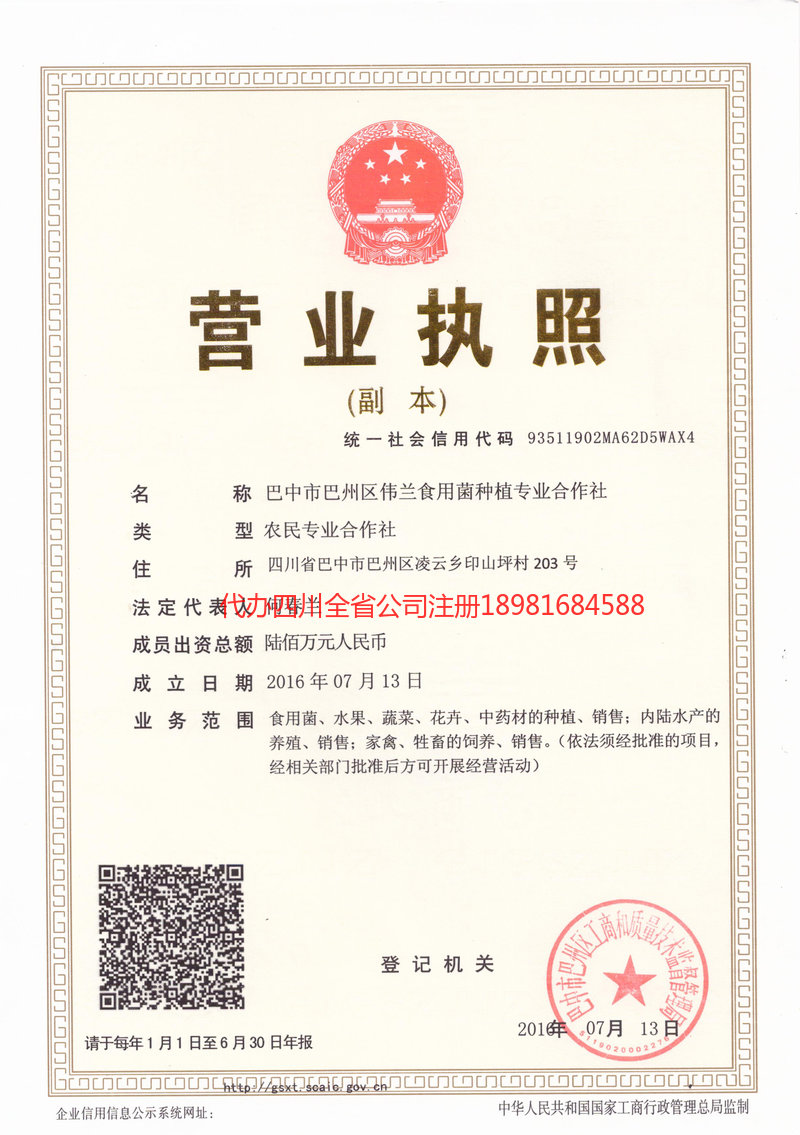 合肥合肥伟兰食用菌种植专业合作社